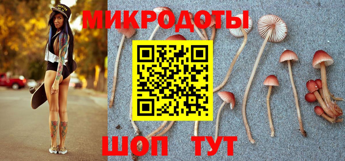 Галлюциногенные грибы Psilocybine cubensis  Псилоцибиновые грибы Psilocybe  Вход с VPN  Каменка 